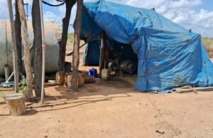 PF encontra trabalhadores em situação de escravidão no interior do Maranhão