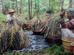 Maranhão concentra três das Unidades de Conservação mais populosas do país, diz IBGE