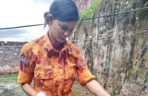 Bombeiros capturam mais de 1,3 mil animais silvestres na Grande São Luís