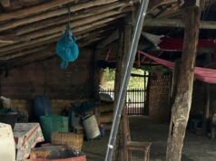 80 trabalhadores em condições análogas à escravidão são resgatados no Maranhão