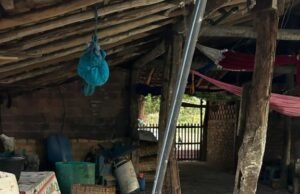 80 trabalhadores em condições análogas à escravidão são resgatados no Maranhão