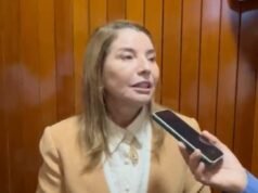 Iracema diz acreditar em mudança de posicionamento de Dino sobre ADI do TCE