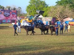 65ª edição da Expoema é aberta em São Luís