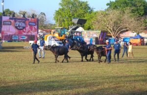 65ª edição da Expoema é aberta em São Luís