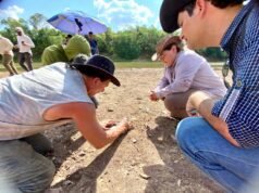 Maranhão atrai expedição internacional e pode revelar “dinossauro mais famoso do Brasil”