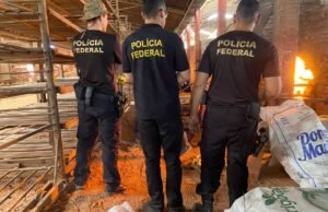 PF incinera 420 quilos de skunk em Caxias
