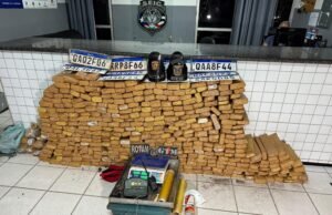 PM apreende cerca de meia tonelada de maconha em Paço do Lumiar