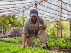 COP30: Maranhão apresenta Projeto Amazônico de Gestão Sustentável