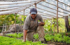 COP30: Maranhão apresenta Projeto Amazônico de Gestão Sustentável