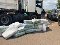 PRF apreende quase uma tonelada de skunk no interior do Maranhão