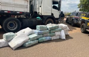PRF apreende quase uma tonelada de skunk no interior do Maranhão