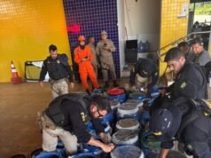 PRF apreende mais de 1 tonelada de drogas em rodovia no Maranhão