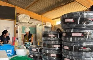 Procon apreende mais de 20 km de fios elétricos irregulares em obra de condomínio na Grande Ilha