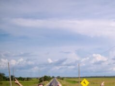 Brandão percorre MA-014 vistoriando obras de requalificação que estão na fase final