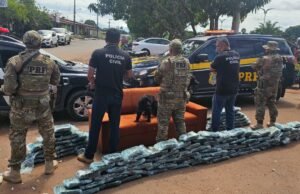 PRF e Receita apreendem 120 quilos de droga em Matões do Norte