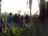 Regional da CPT lança dados de conflitos no campo no Maranhão
