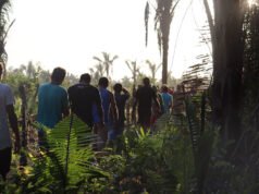 Regional da CPT lança dados de conflitos no campo no Maranhão