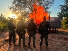 Operação desarticula esquema de produção de drogas no Maranhão