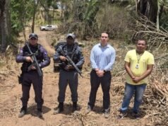 Homem é preso por desmatamento em São Luís Gonzaga