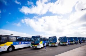Ônibus semiurbanos serão gratuitos em São Luís e Imperatriz neste domingo (4)